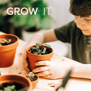 Chef's Kitchen - Gift Pack - Pangolins