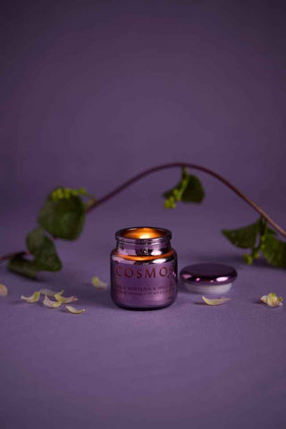 Chroma candle Wisteria & Willow - Pangolins