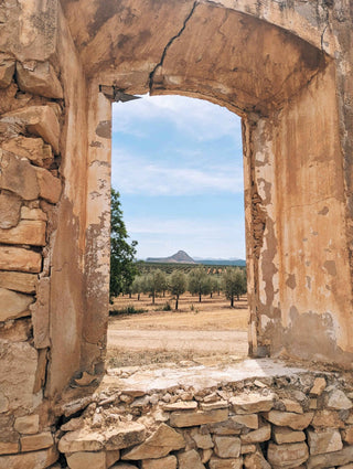 Citizens of Soil – Organic Extra Virgin Olive Oil (500ml) - Pangolins