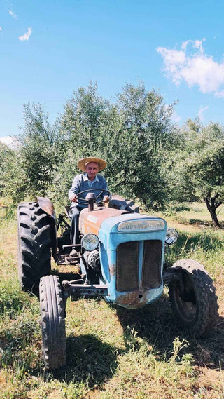 Citizens of Soil – Sparta, Peloponnese Organic Extra Virgin Olive Oil (500ml) - Pangolins