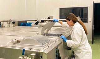 Citizens of Soil – Sparta, Peloponnese Organic Extra Virgin Olive Oil (500ml) - Pangolins