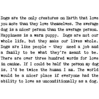 Coulson Macleod Greetings cards for every occasion - Pangolins