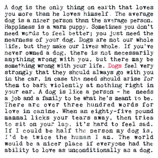 Coulson Macleod Greetings cards for every occasion - Pangolins