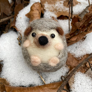 Bergin & Bath Hedgehog Needle Felting Kit for Beginners – Adult & Teen Craft Kit
