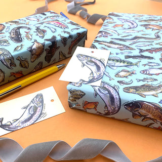 Freshwater Fish of Britain wrapping paper Sheets