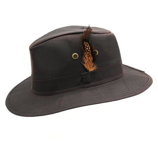 Brown waxed trilby hat with feather and button on a white background - Pangolins