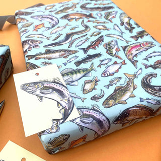 Freshwater Fish of Britain wrapping paper Sheets - Pangolins