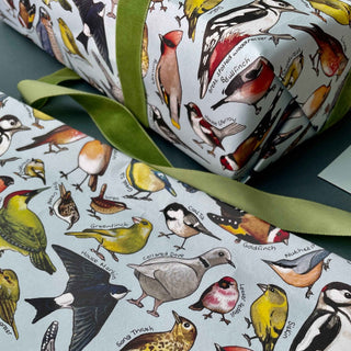 Garden Birds of Britain wrapping paper Sheets - Pangolins