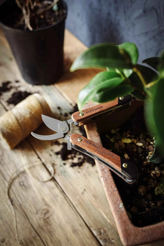 Garden multi tool - Pangolins