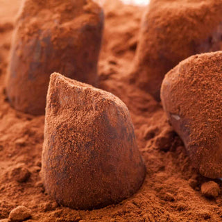 Hazelnut Crunch Dusted Truffles - Pangolins