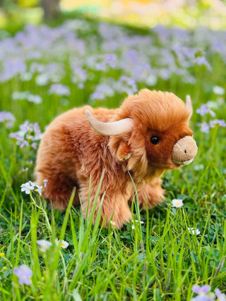 Highland Cow — Soft Toy - Pangolins