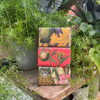 Kew Gardens Bergamot and Ginger Soap - Pangolins