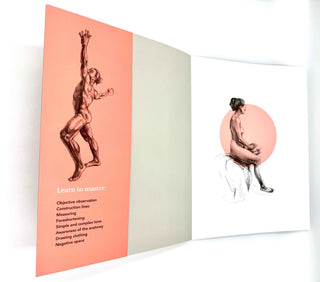 Life drawing book - Pangolins