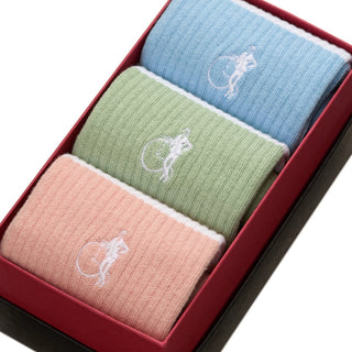 London Sock Company pastel stripe socks close-up in organic cotton, lightweight mid-calf socks in blue, green and peach gift set
