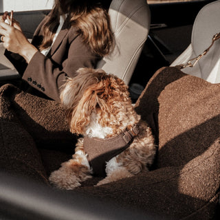 By Teddy Bouclé Dog Car Seat, Travel Bed & Carry Bag