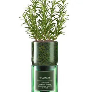 Hydro Herbs – Grow Your Own Herb Kit