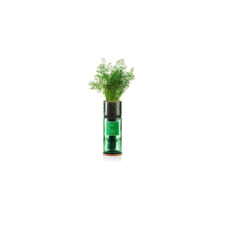 Hydro Herbs – Grow Your Own Herb Kit