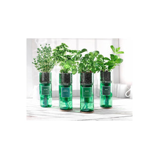 Hydro Herbs – Grow Your Own Herb Kit