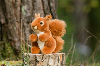 Red Squirrel — Soft Toy - Pangolins