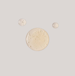 Verden Herbanum Hand & Body Wash Soap - Pangolins